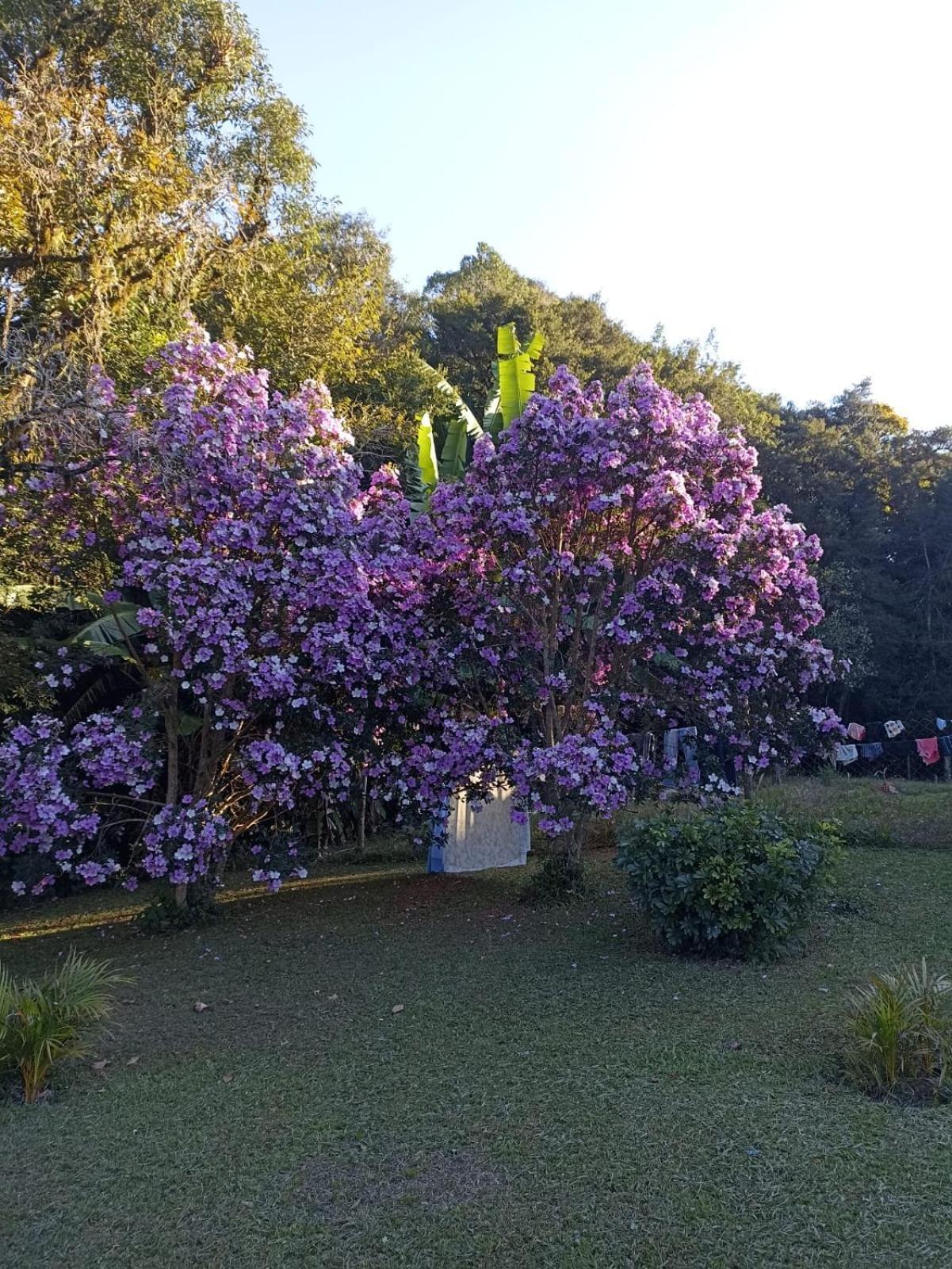 Chacara Cafe Nakombi'S Colombo Zewnętrze zdjęcie